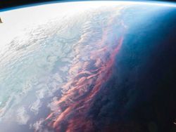 Hewan Sampai Tempat Terkenal Dipotret dari Angle Beda, Hasilnya Unik!