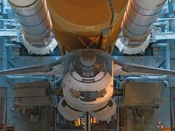 Hewan Sampai Tempat Terkenal Dipotret dari Angle Beda, Hasilnya Unik!