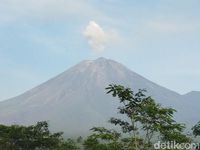 Gunung Semeru Erupsi, Tinggi Letusan 600 Meter Dari Puncak