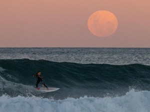 Ada Super New Moon Juni 2026, BMKG Ingatkan Potensi Banjir Rob