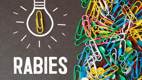 Ilustrasi rabies