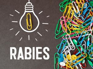 66 Kasus Gigitan Hewan Penular Rabies, 2 Orang Meninggal