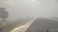 Jalanan di Natuna tertutupi asap tebal yang muncul akibat kebakaran hutan. (Dok. BPBD Natuna)