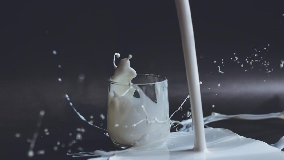 Rencana Badan Gizi Impor Tepung Susu untuk Penuhi Kebutuhan Makan Bergizi Gratis