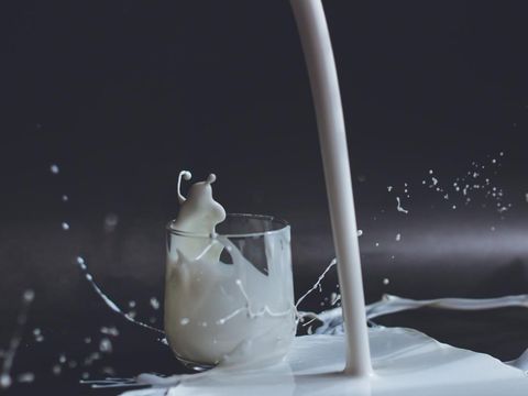 Jarak Minum Obat dan Susu Ilustrasi jeda waktu yang aman minum obat dan susu.