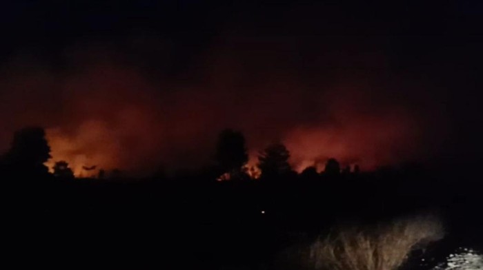 Kebakaran hutan di Natuna, Kepri Kebakaran hutan di Natuna, Kepri