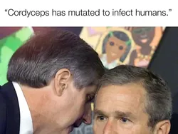 Meme Kocak The Last of Us HBO, Ada yang Menohok hingga Indonesia Coy