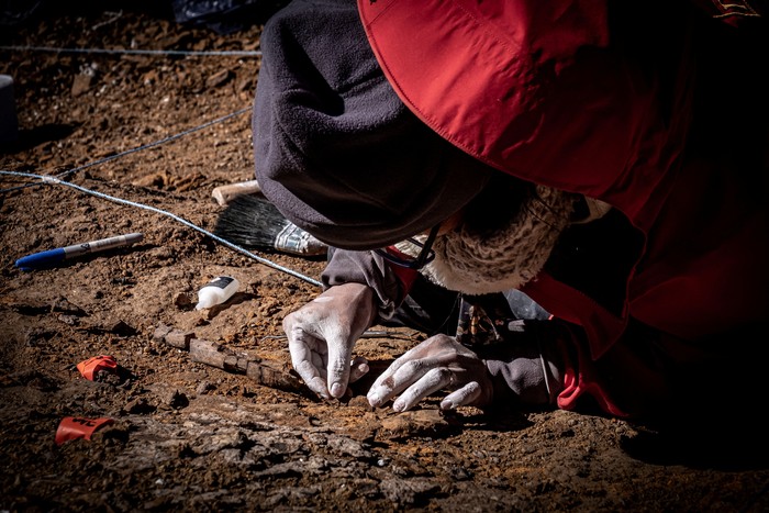 A man works at the area where scientists discovered megaraptor fossils at Guido hill in the Chilean Patagonia area, close to Torres del Paine park, in Magallanes and Antarctic region, Chile in this undated handout photo provided by the Instituto Chileno Antartico on January 16, 2023. Instituto Chileno Antartico/Handout via REUTERS ATTENTION EDITORS - THIS IMAGE WAS PROVIDED BY A THIRD PARTY. NO RESALES. NO ARCHIVES. MANDATORY CREDIT