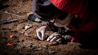Megaraptor merupakan dinosaurus karnivora yang menghuni bagian Amerika Selatan selama periode Cretaceous sekitar 70 juta tahun lalu.