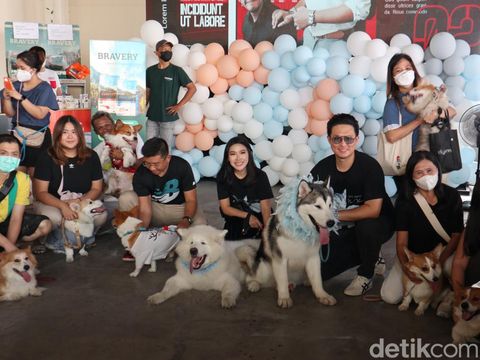 Perayaan ulang tahun anjing Malamut Alaska, Kai Xavier di mal.