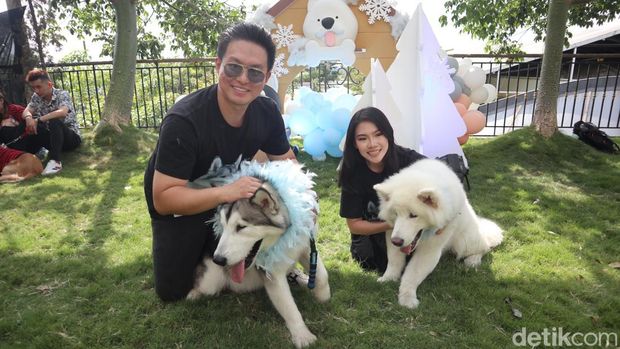 Perayaan ulang tahun anjing Malamut Alaska, Kai Xavier di mal.