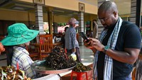 Turis memotret tarantula goreng yang dijajakan di pinggir jalan. Kebiasaan makan tarantula goreng berawal saat rezim Mao beranama Khmer Rouge berkuasa di tahun 1970-an. Mereka menjadikan warga Kamboja budak. Hingga jutaan warga keluar dari kota lalu mengungsi ke dalam hutan. Di sana mereka mengalami kelaparan. Kelaparan inilah yang membuat mereka memakan apapun yang bisa dimakan di hutan. Saat itu, tarantula jadi pilihan.