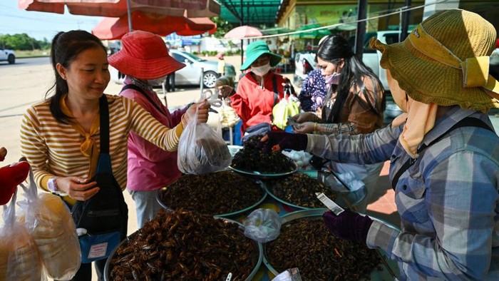 People buy fried tarantulas in the town of Skun in Kampong Cham province on January 15, 2023. (Photo by TANG CHHIN SOTHY / AFP) (Photo by TANG CHHIN SOTHY/AFP via Getty Images)