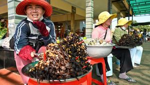 Tarantula Goreng, Camilan Khas Kamboja yang Jadi Buruan