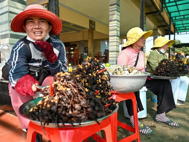 Tarantula Goreng, Camilan Khas Kamboja yang Jadi Buruan