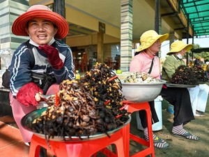 Menengok Islam yang Terpinggirkan di Vietnam: Tak Wajib Salat dan Puasa