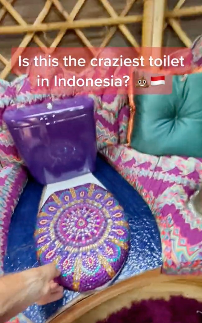 Didominasi oleh warna ungu, kloset di dalam toilet tersebut bahkan tampak begitu estetik. Uniknya lagi toilet berdesain tak biasa itu diletakkan di tengah-tengah sofa yang tersedia di sana. Foto: TikTok/@traveltomtom