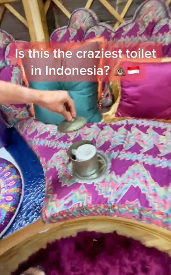 Di sebelah kloset juga dilengkapi dengan tisu toilet. Is this the craziest toilet in Indonesia? tulis keterangan dalam video yang artinya, Inikah toilet tergila di Indonesia? Foto: TikTok/@traveltomtom