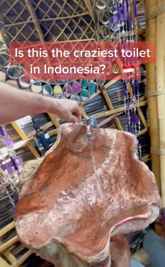 Wastafel dalam toilet tersebut juga terlihat begitu unik dan estetik dengan bentuk menyerupai cangkang kerang. Bikin serasa seperti sedang berada di negeri dongeng. Foto: TikTok/@traveltomtom
