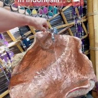 Wastafel dalam toilet tersebut juga terlihat begitu unik dan estetik dengan bentuk menyerupai cangkang kerang. Bikin serasa seperti sedang berada di negeri dongeng. Foto: TikTok/@traveltomtom