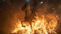 Namun tradisi ini mendapat kritikan keras dari para aktivis perlindungan hewan dunia. Tradisi ini dianggap menyakiti para kuda tersebut. (Marcos del Mazo/Getty Images)  