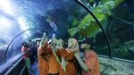 Aksi Barongsai Bawah Air di Seaworld Ancol
