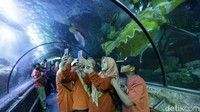 Di dalam air ada sekitar 6 penyelam profesional dengan 2 barongsai dan satu liong.