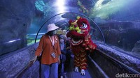 Bagaimana menurut Anda travelers?