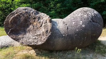 Hidup bebatuan ini dimulai sebagai kerikil dan tumbuh sekitar 2 cm per 1.000 tahun. Batu trovant mengandung struktur mineral unik yang meniru kehidupan tumbuhan dan mamalia. Foto: Daily Mail