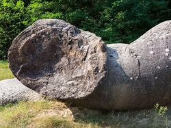 Wujud Batu Hidup yang Bisa Beranak