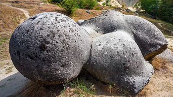 Batu bulat aneh itu tampak tumbuh dengan cara yang hampir sama seperti jaringan tumbuhan, dan mereka melahirkan batu baru seperti hewan. Foto: Daily Mail