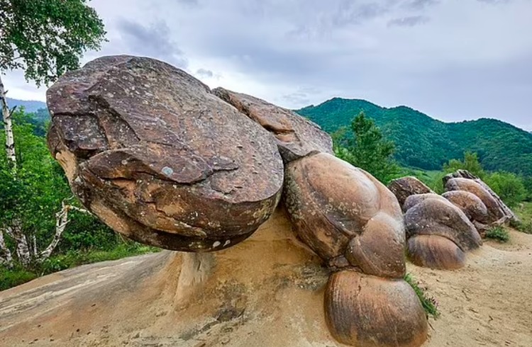 Batu hidup Batu hidup