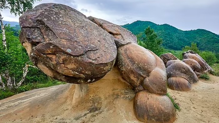 Batu hidup