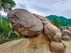 Wujud Batu Hidup yang Bisa Beranak