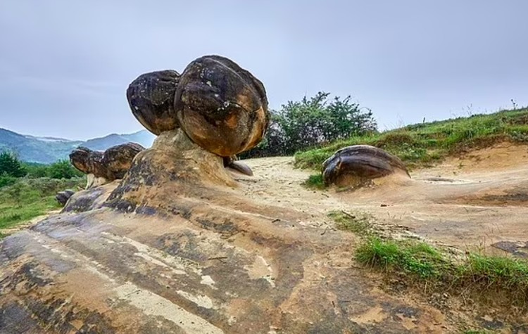 Batu hidup