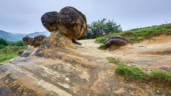 Sama seperti lingkaran-lingkaran pada kayu pohon, trovant juga memperlihatkan lapisan lingkaran saat dipotong. Lingkaran tersebut menunjukkan usia atau periode pertumbuhan. Foto: Daily Mail