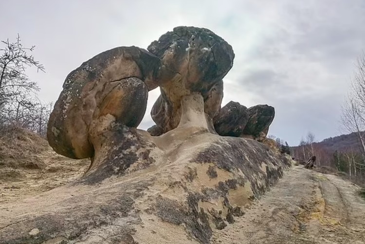 Batu hidup Batu hidup