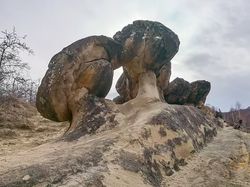 Wujud Batu Hidup yang Bisa Beranak