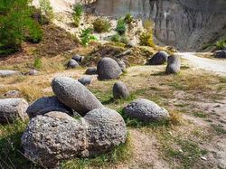 Wujud Batu Hidup yang Bisa Beranak