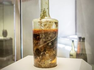 Botol Wine Tertua di Dunia Ini Umurnya 1.700 Tahun dan Masih Utuh!