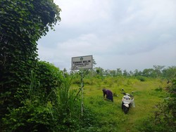 Warga setempat mencari pakan ternak di calon lokasi Bandara Bali Utara di Sumberkelampok, Buleleng. Di tanah tersebut terpacak plang bertulisan Tanah Milik Pemprov Bali dan telah dipasangi patok pembatas. Investasi pembangunan bandara itu akan mencapai sekitar Rp 17 triliun. Hadirnya bandara tersebut juga bakal menciptakan lapangan kerja sebesar 200 ribu orang serta menghidupkan UMKM asal Bali dan sekitarnya.Pembangunan Bandara Bali Utara itu sempat mendapatkan penolakan dari Presiden ke-5 Megawati Soekarnoputri. Ketua Umum PDI Perjuangan itu tidak setuju dengan pembangunan bandara itu.