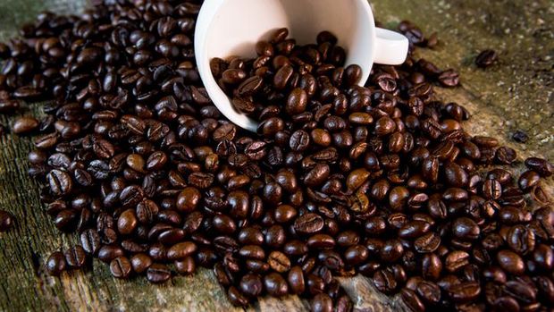 5 Keistimewaan Biji Kopi Toraja  yang Disukai Banyak Orang
