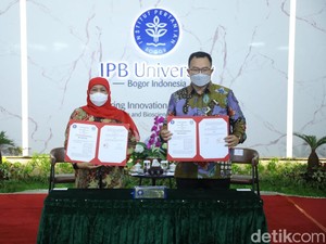 IPB Punya Rektor Baru, Khofifah Harap Kerjasama di Sektor Pertanian Makin Kuat