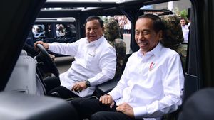 Endorse Jokowi Untuk Prabowo Terbukti Manjur, Ini Surveinya