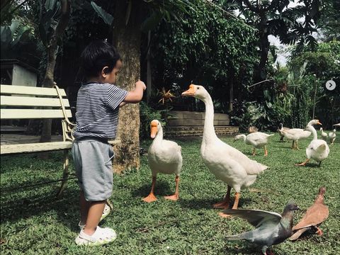 Ada banyak kafe di Malang. Berikut ini sederet kafe ramah anak di Malang yang nyaman dan asri.