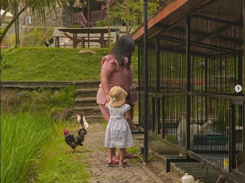 Ada banyak kafe di Malang. Berikut ini sederet kafe ramah anak di Malang yang nyaman dan asri.