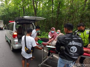 Mobil Travel-Boks Adu Banteng di Jalur Baluran Situbondo, Sopir Tergencet