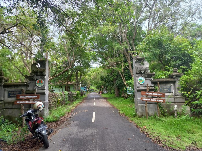 Taman Nasional Bali Barat (TNBB) yang berdekatan dengan calon lokasi Bandara Bali Utara, Buleleng, Bali Selasa (17/1/2022).