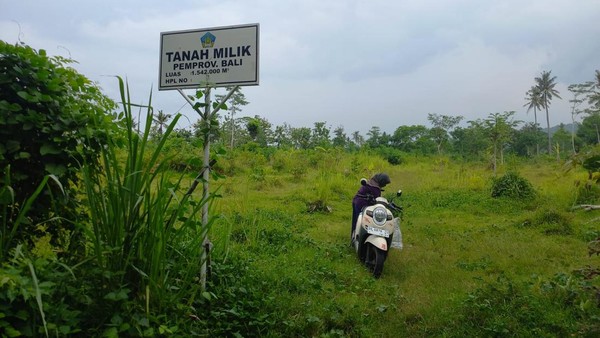 Menengok Lahan yang Jadi Calon Lokasi Bandara Bali Utara
