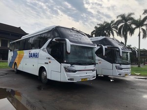Tiket Bus DAMRI buat Mudik Sudah Bisa Dipesan, Bisa Online